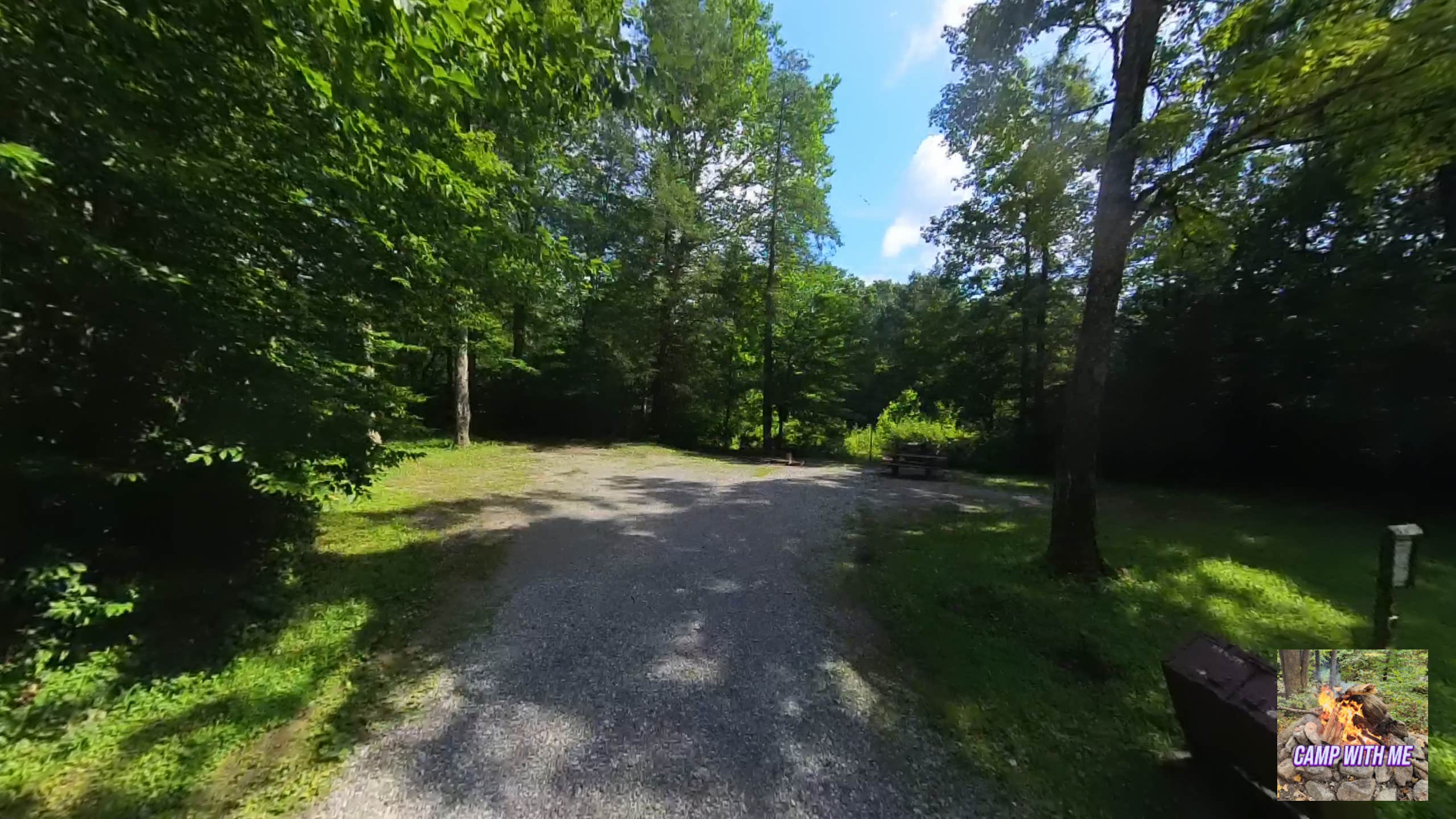 Camper submitted image from Williams River Sites - 2