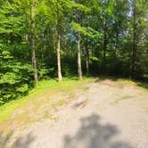 Review photo of Williams River Sites by Camp With Me , December 21, 2025