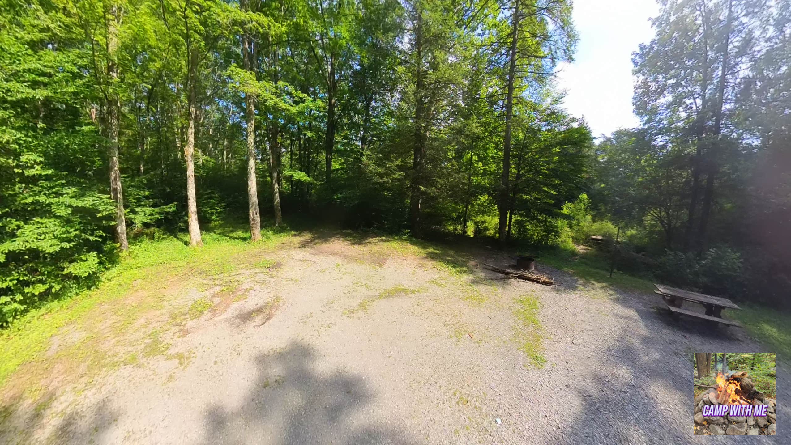 Camper submitted image from Williams River Sites - 3