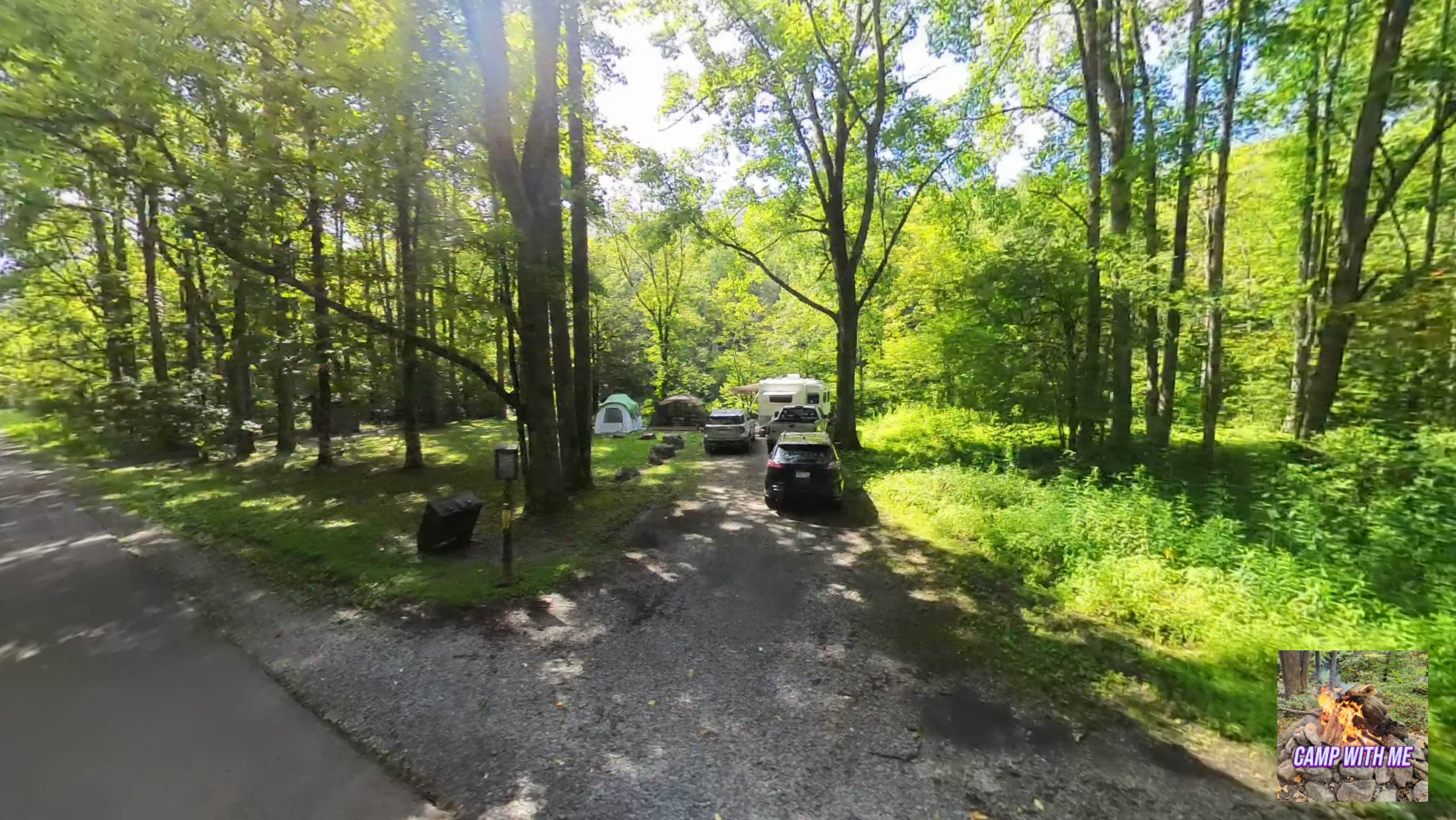 Camper submitted image from Williams River Sites - 4