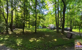 Camp With Me's photo at Williams River Sites near Richwood, WV
