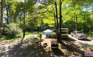 Camp With Me's photo at Williams River Sites near Monongahela National Forest