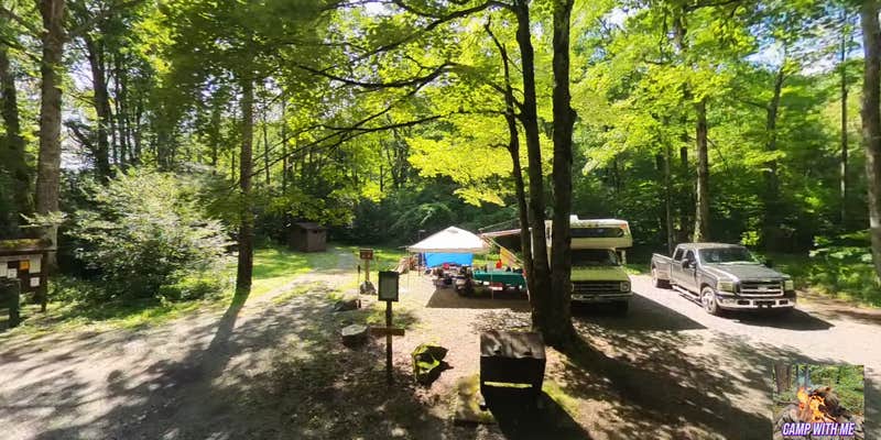 Camper submitted image from Williams River Sites