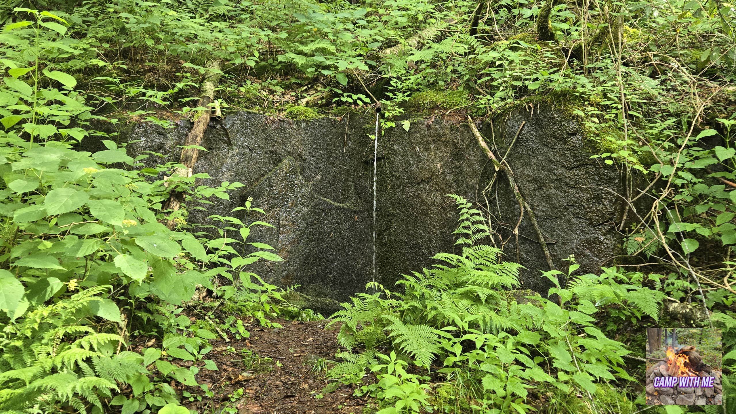 Camper-submitted photo at Williams River Sites near Marlinton, WV
