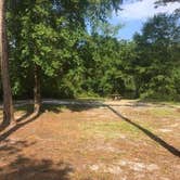 Review photo of 53 Deep Creek Campsite by Jacob S., December 22, 2025