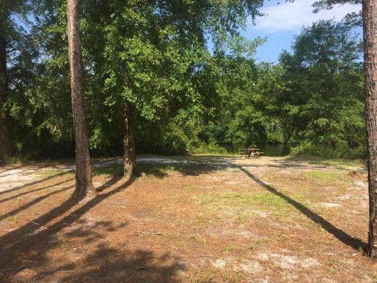 Camper submitted image from 53 Deep Creek Campsite - 2