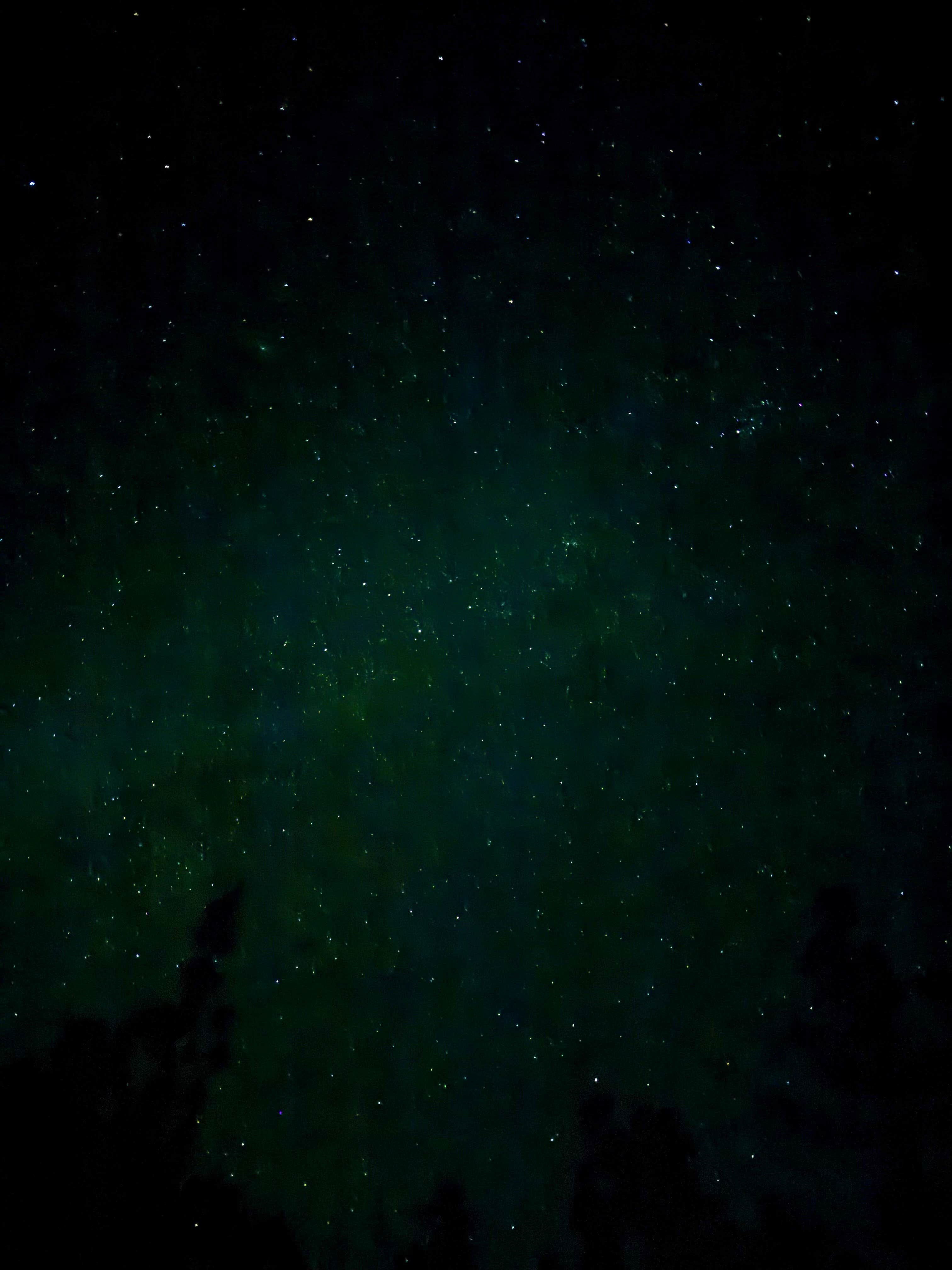 Camper submitted image from 53 Deep Creek Campsite - 1