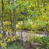 Review photo of Silver Bar by Allie M., December 23, 2025