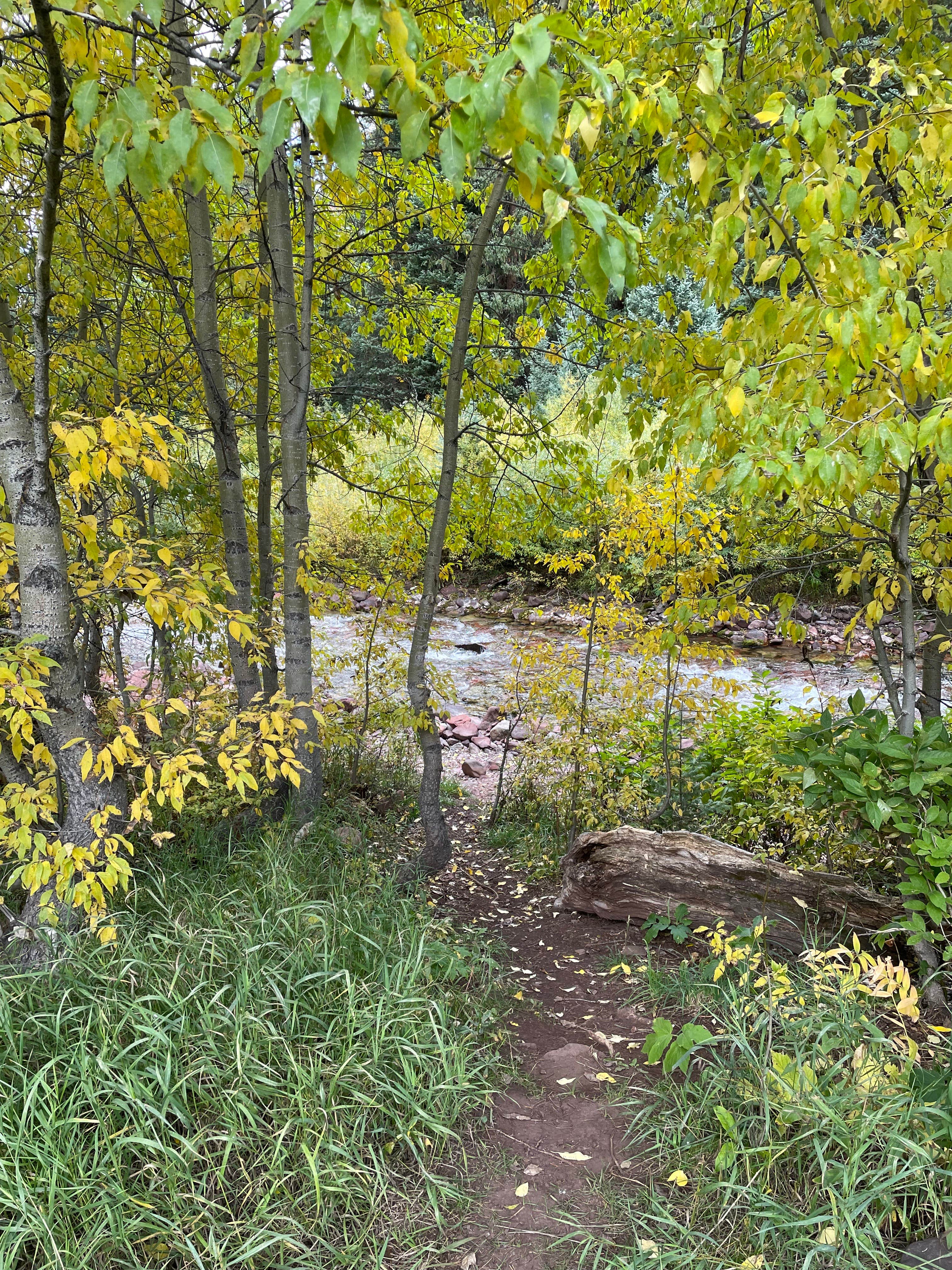 Camper submitted image from Silver Bar - 4