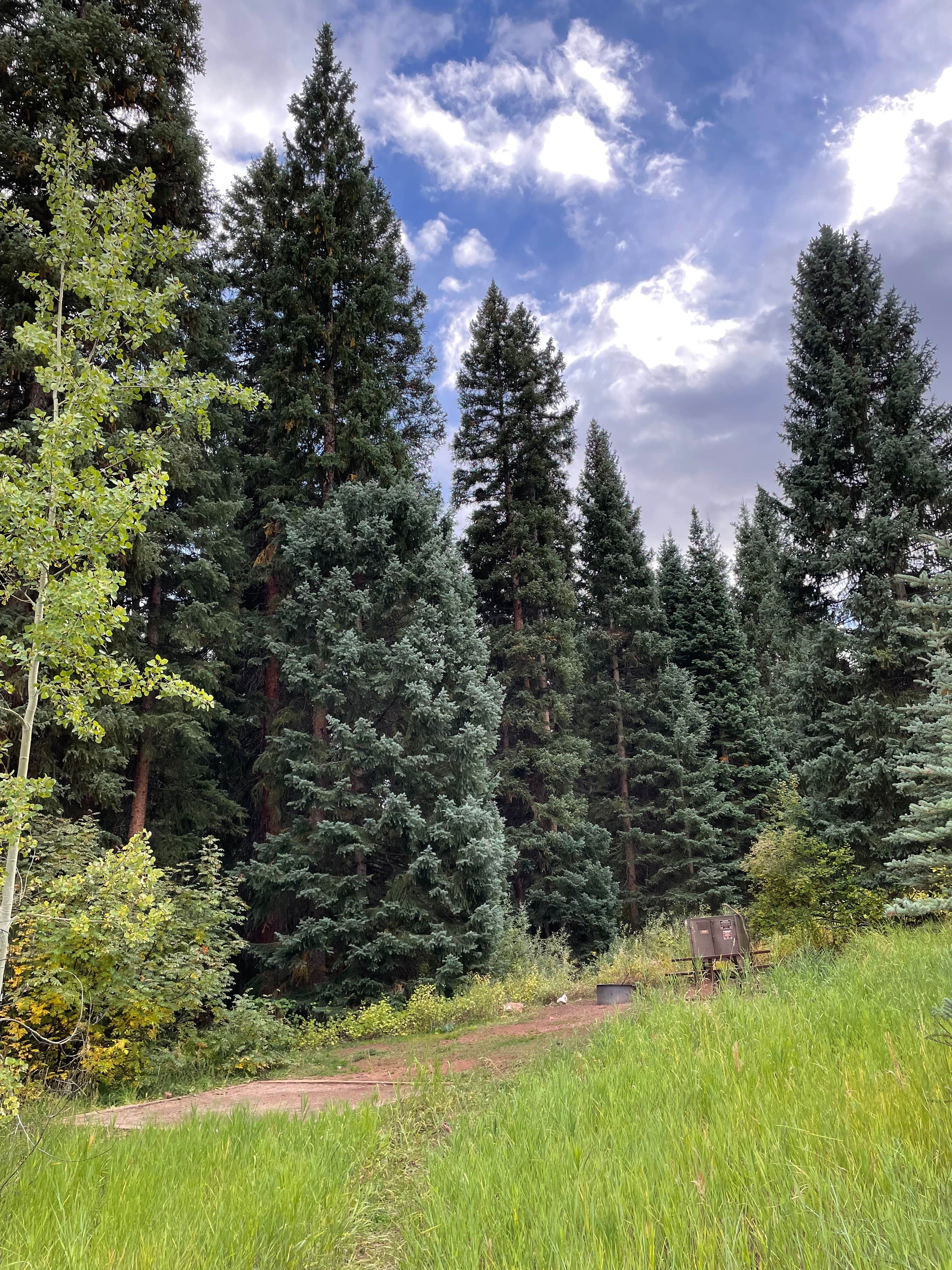 Camper-submitted photo at Silver Bar near Basalt, CO