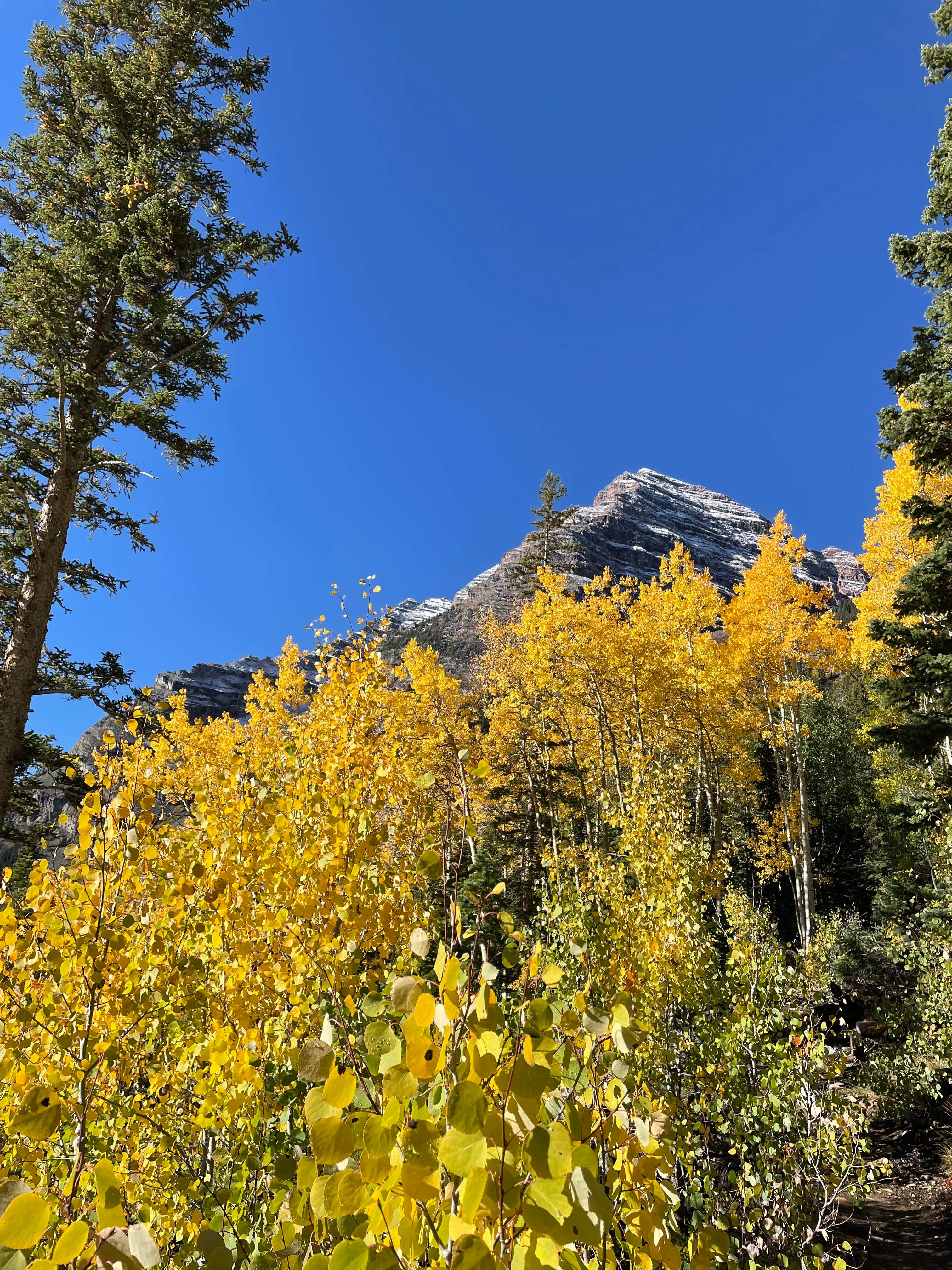 Camper-submitted photo at Silver Bar near Basalt, CO