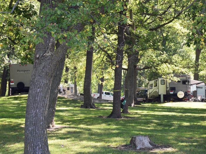 Camper submitted image from North Overlook Camp - 5