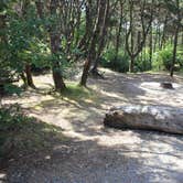 Review photo of Barview Jetty County Campground by Bjorn S., June 10, 2016