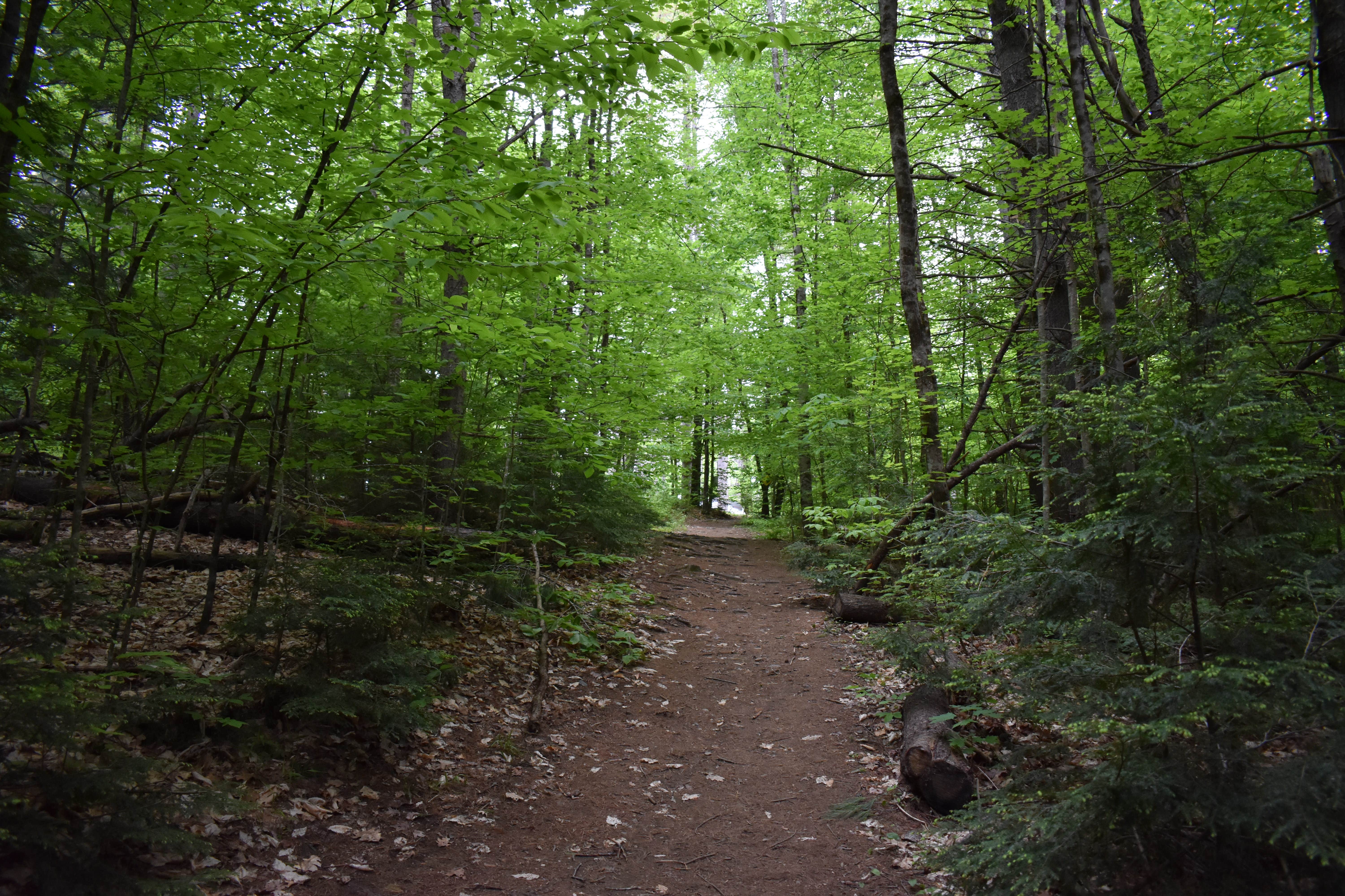 Camper-submitted photo at Crow's Nest Campground near Newport, NH