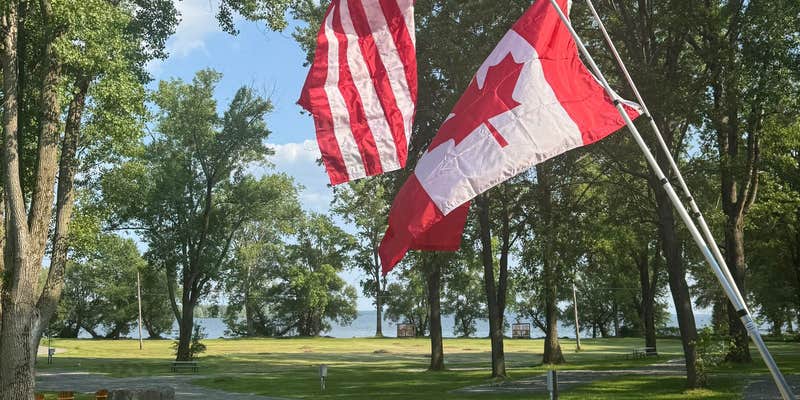 Camper submitted image from Kings Bay Campground