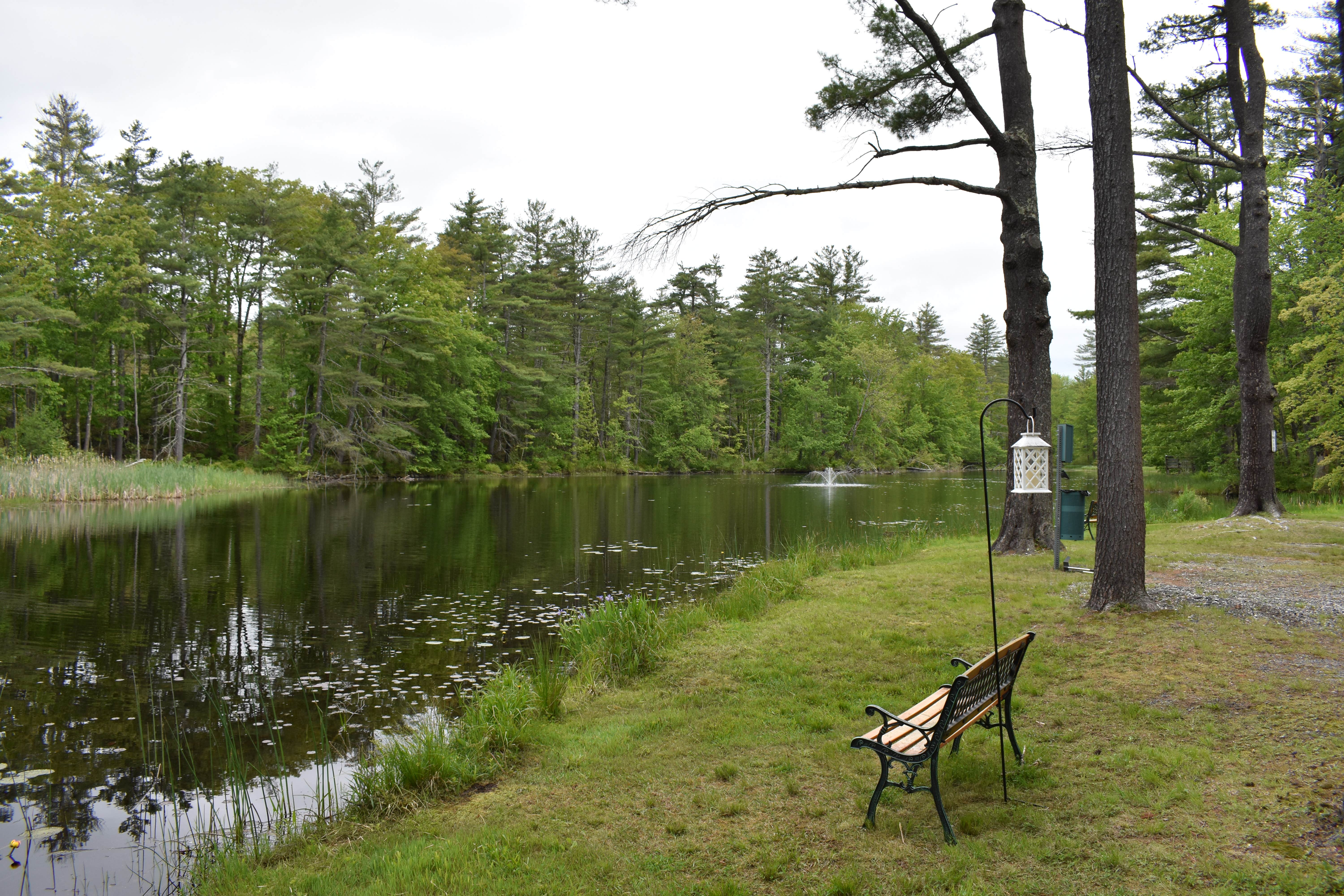 Camper submitted image from Peaceful Pines Family Campground - 2