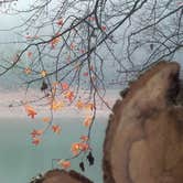 Review photo of Lake Hartwell State Park Campground by Dave V., September 28, 2016