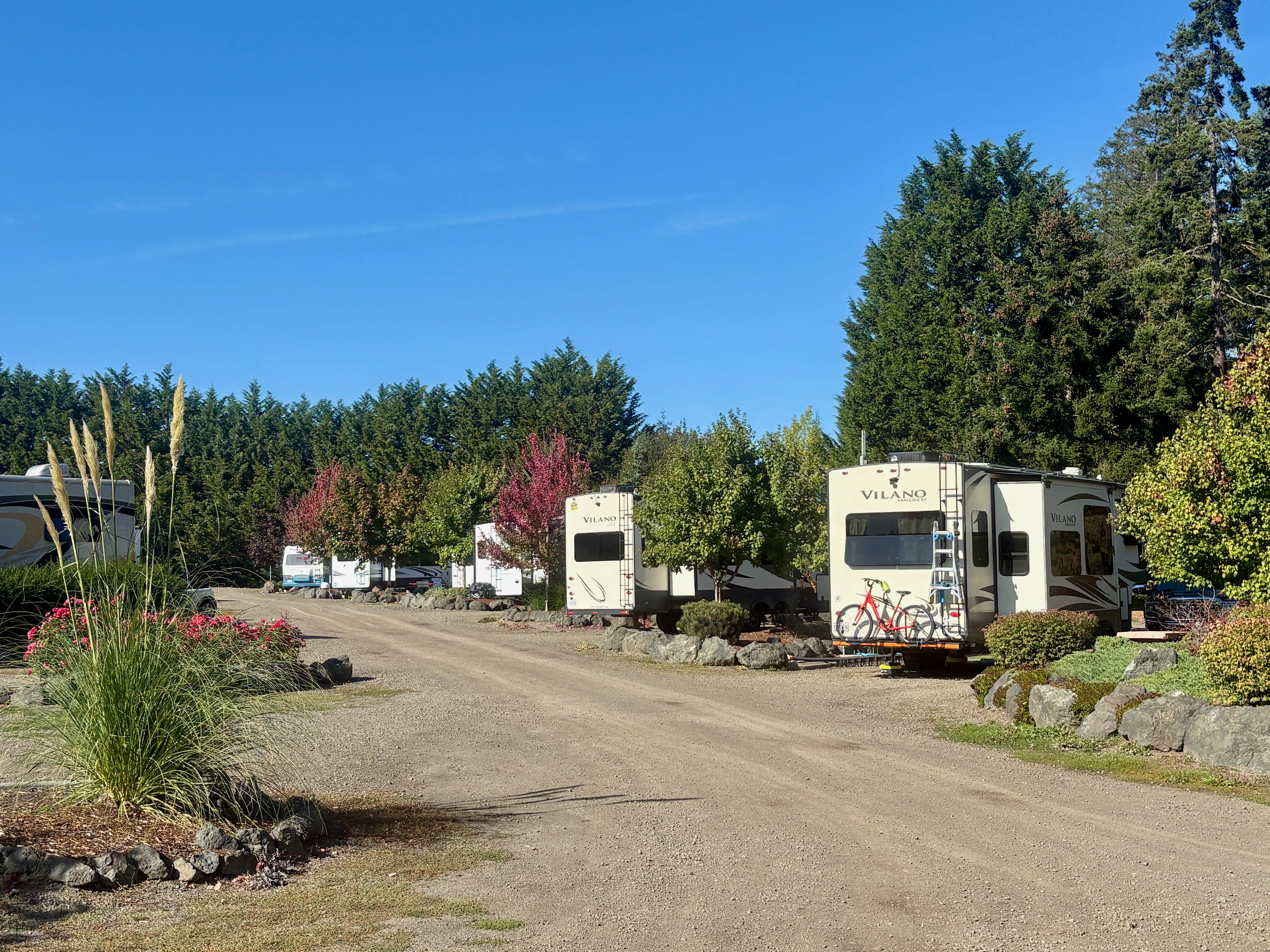 Camper submitted image from Salish Trails Campground - 5