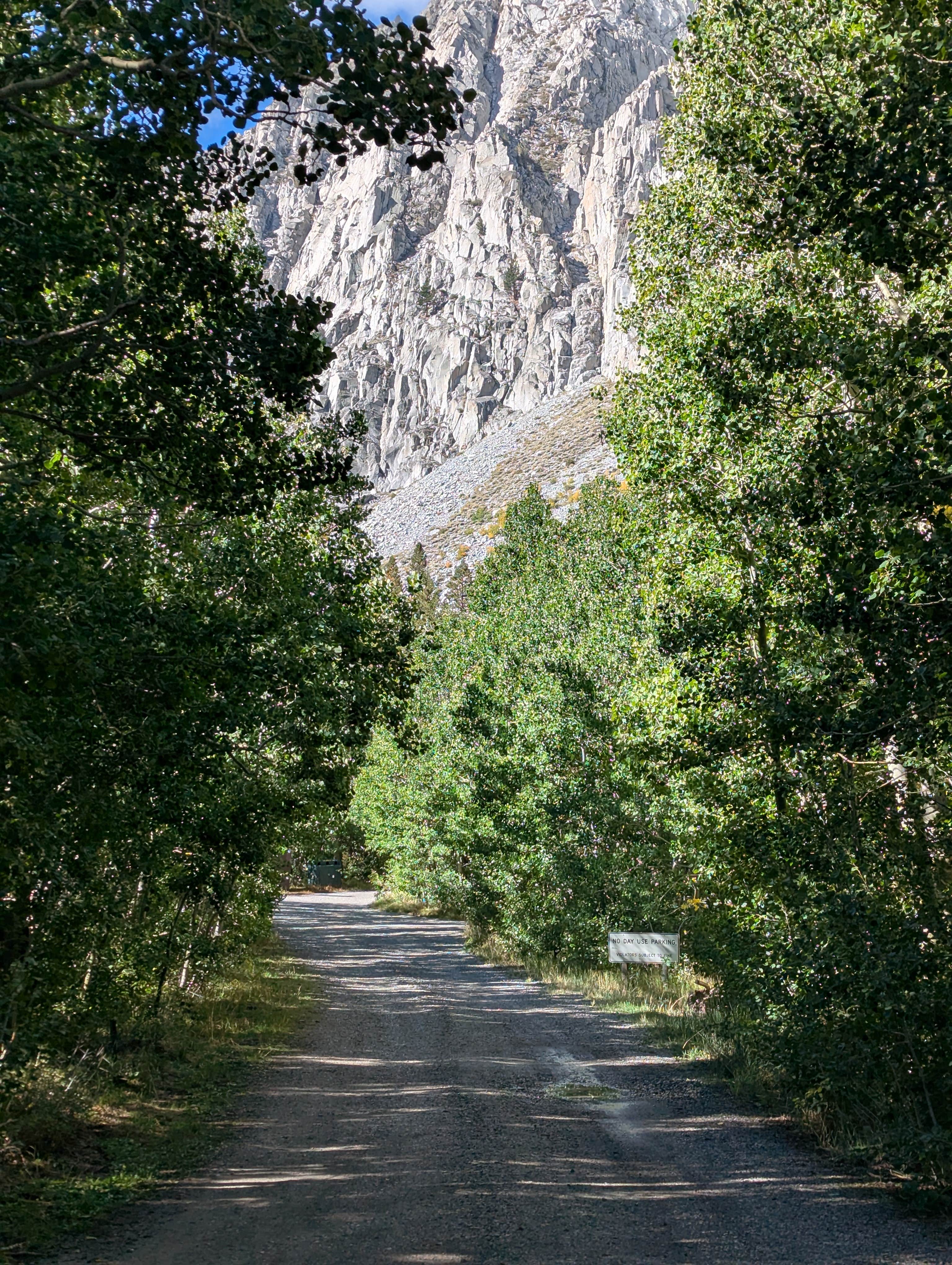 Camper-submitted photo at Big Meadows Campground near Toms Place, CA
