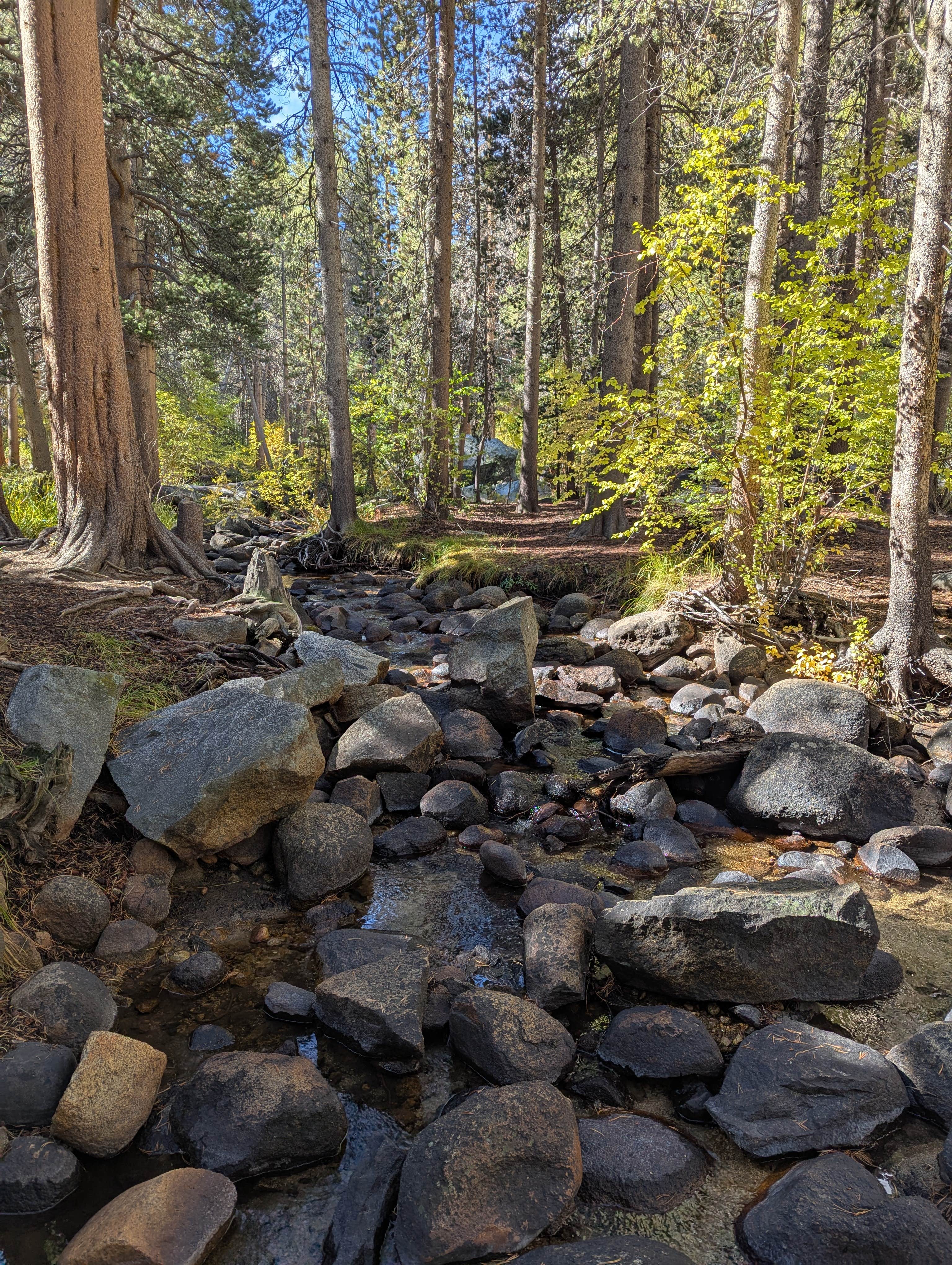 Camper-submitted photo at Big Meadows Campground near Toms Place, CA