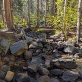 Review photo of Big Meadows Campground by Dick T., December 25, 2025