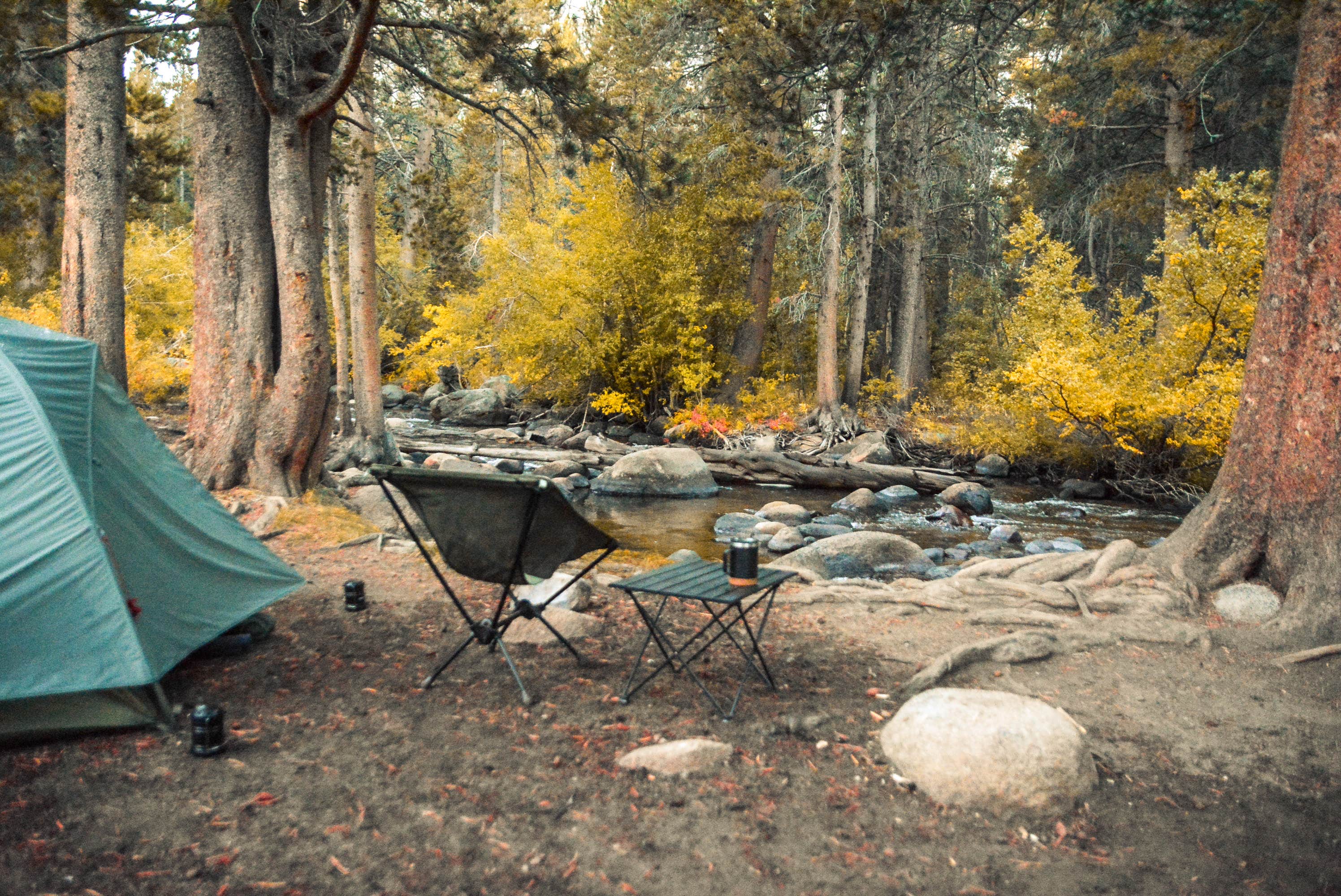 Dick T.'s photo at Big Meadows Campground near Benton, CA