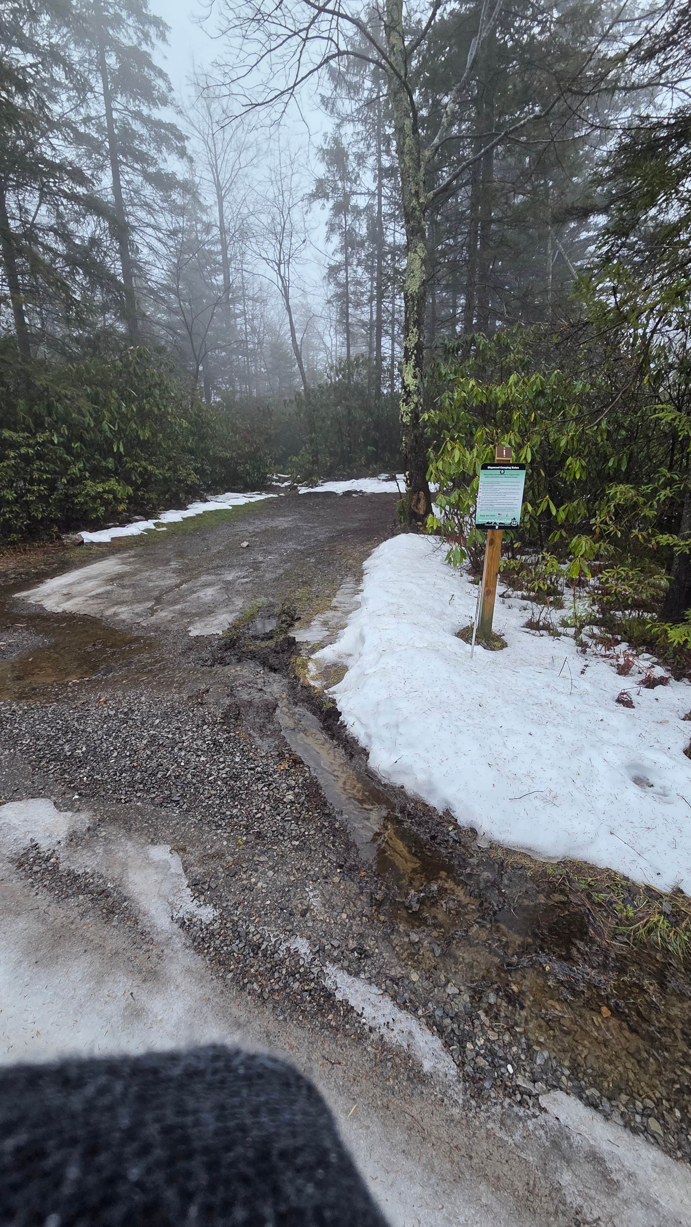 Camper submitted image from Canaan Loop Road - 2