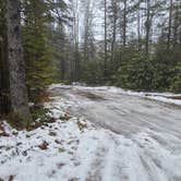 Review photo of Canaan Loop Road by Ric M., December 27, 2025