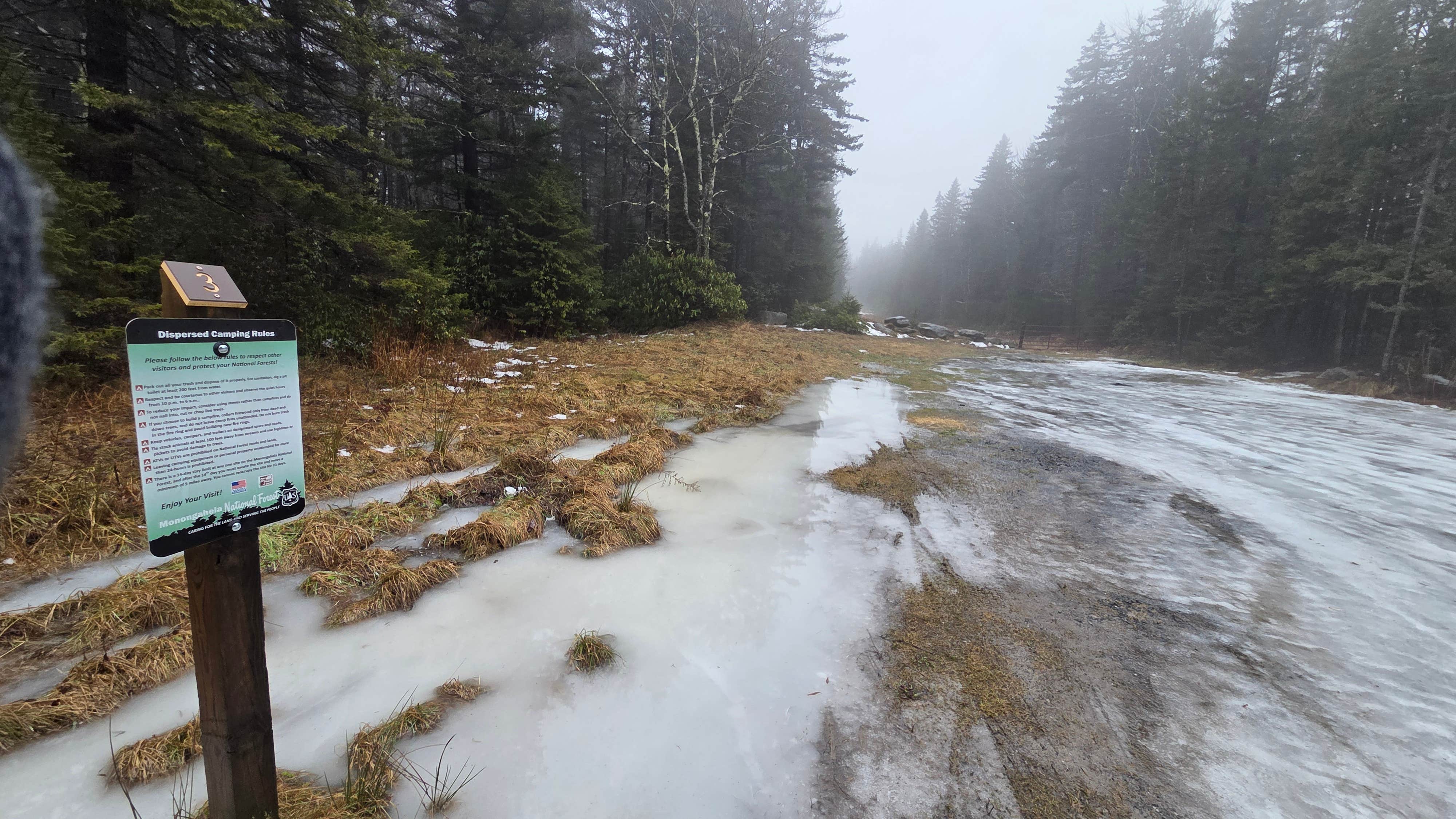 Camper submitted image from Canaan Loop Road - 1