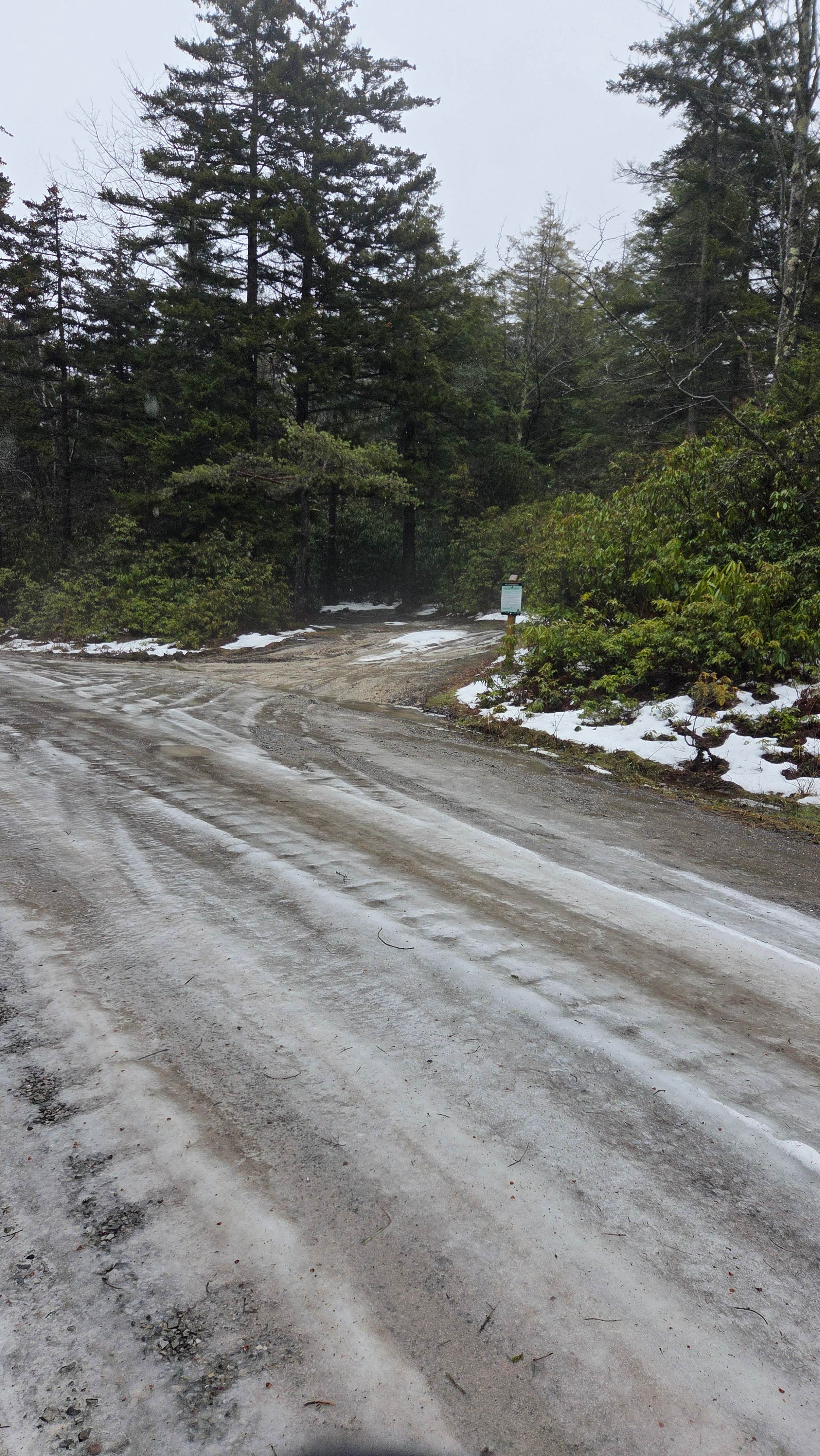 Camper submitted image from Canaan Loop Road - 4