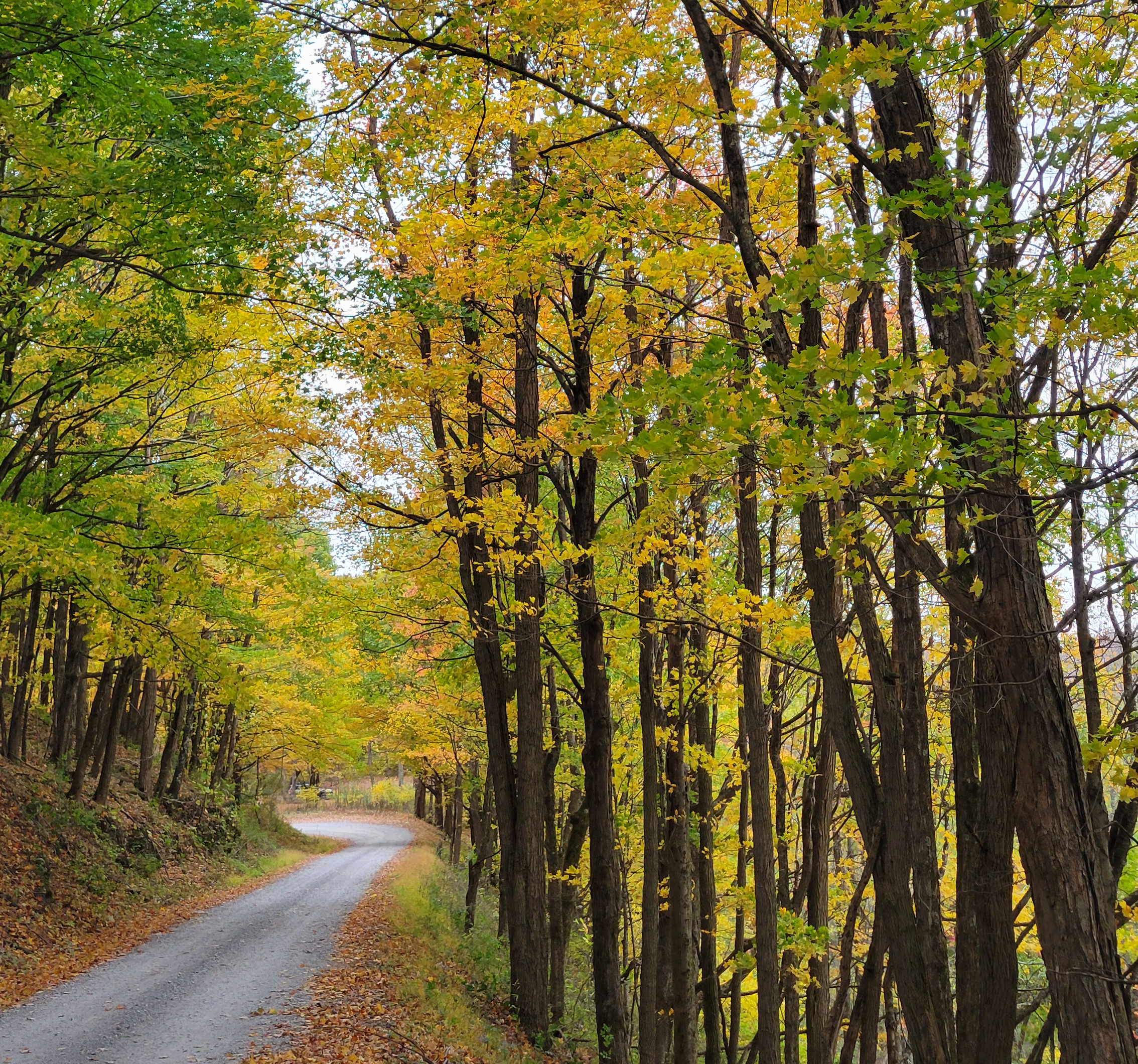 Camper-submitted photo at Bear Heaven Campground near Kitzmiller, MD
