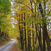 Review photo of Bear Heaven Campground by Ric M., December 27, 2025