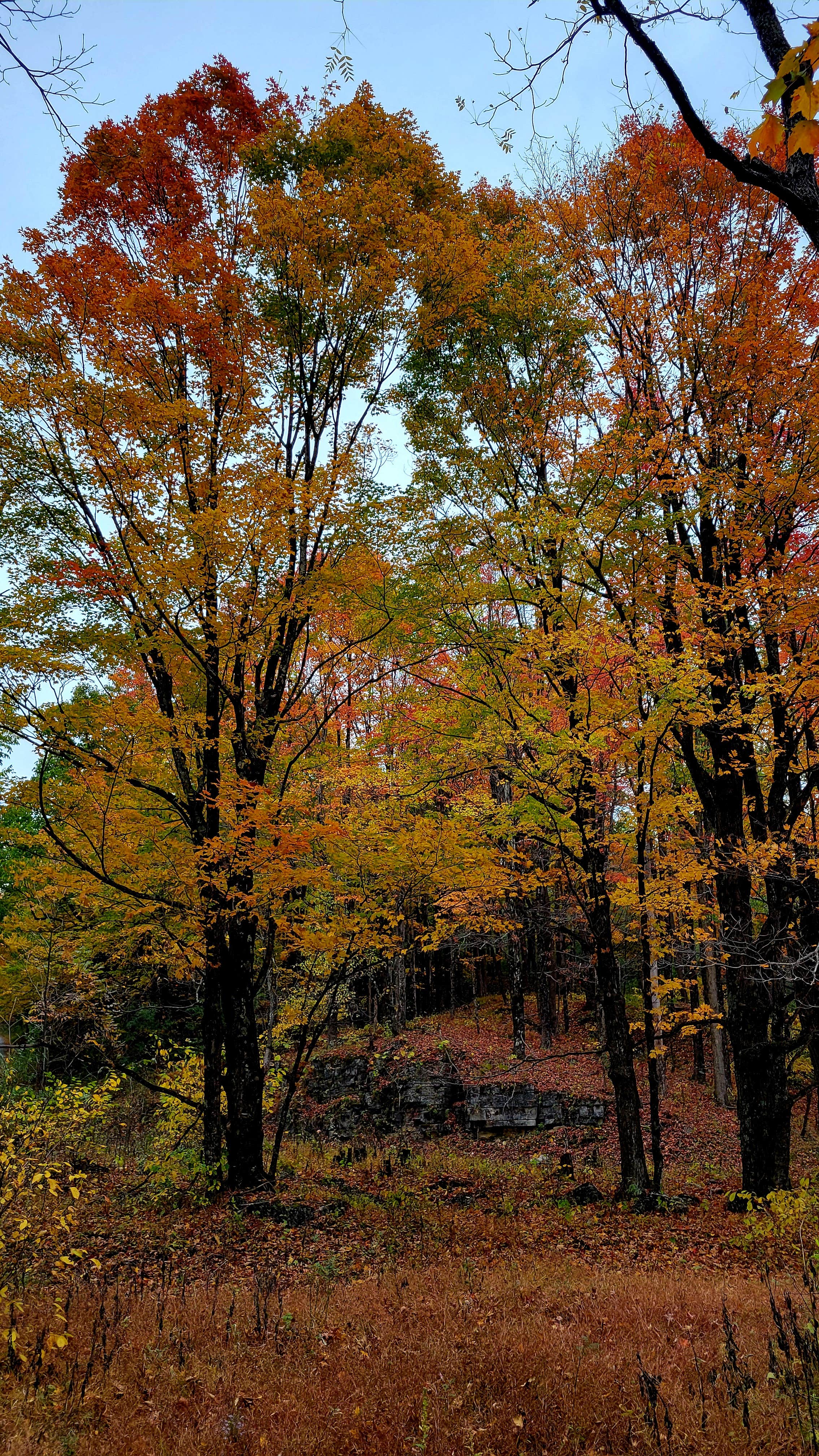 Camper-submitted photo at Bear Heaven Campground near Kitzmiller, MD