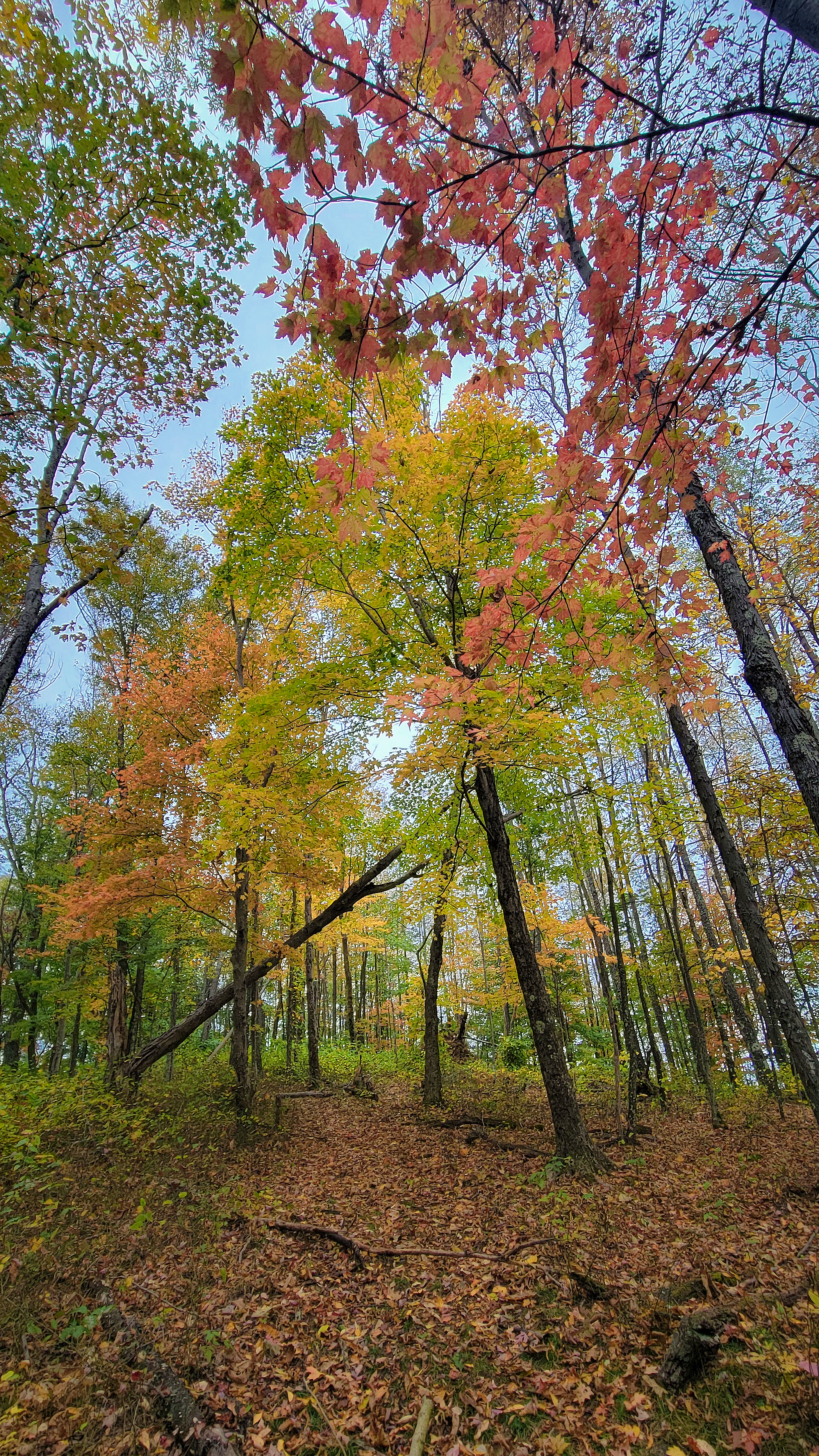 Camper submitted image from Bear Heaven Campground - 1