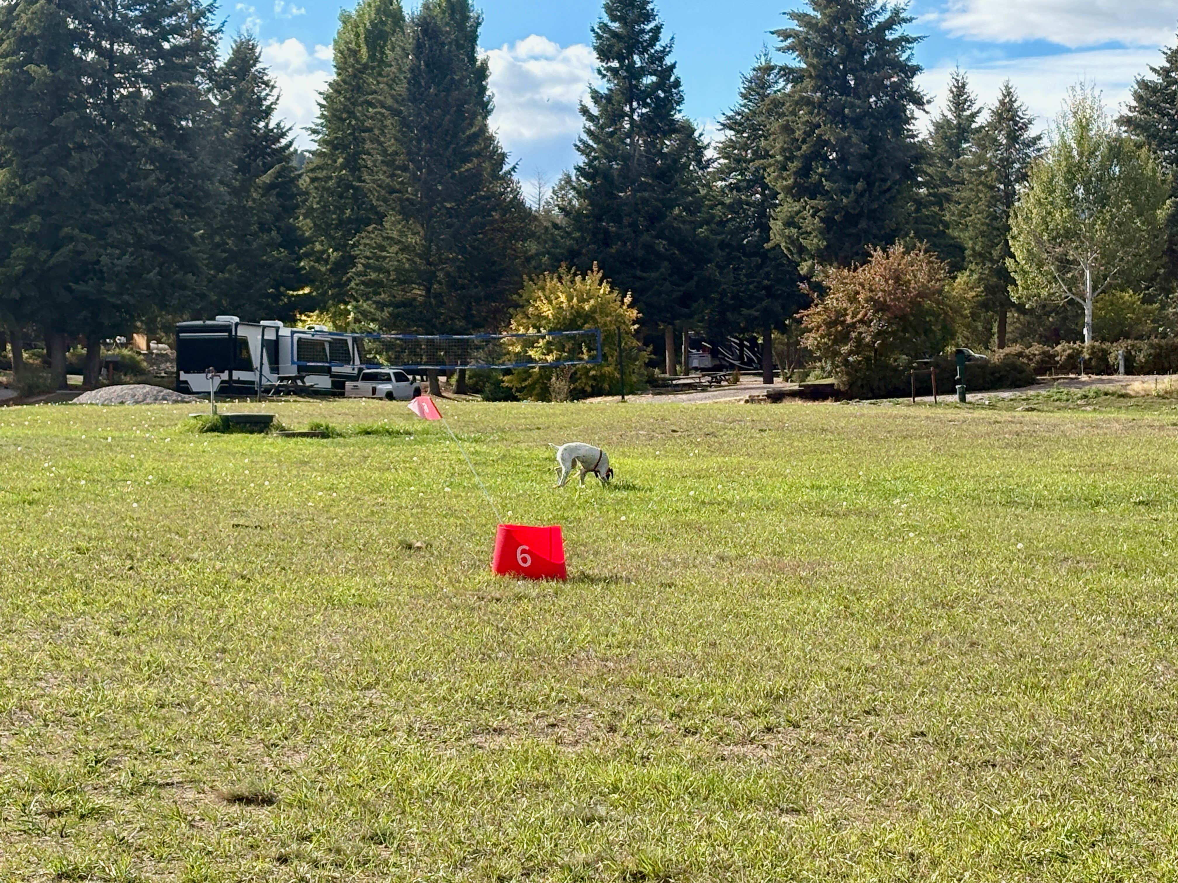 MickandKarla W.'s photo of camping with pets at Nugget RV Resort near Lolo National Forest