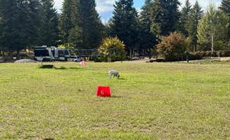 MickandKarla W.'s photo of camping with pets at Nugget RV Resort near Paradise, MT