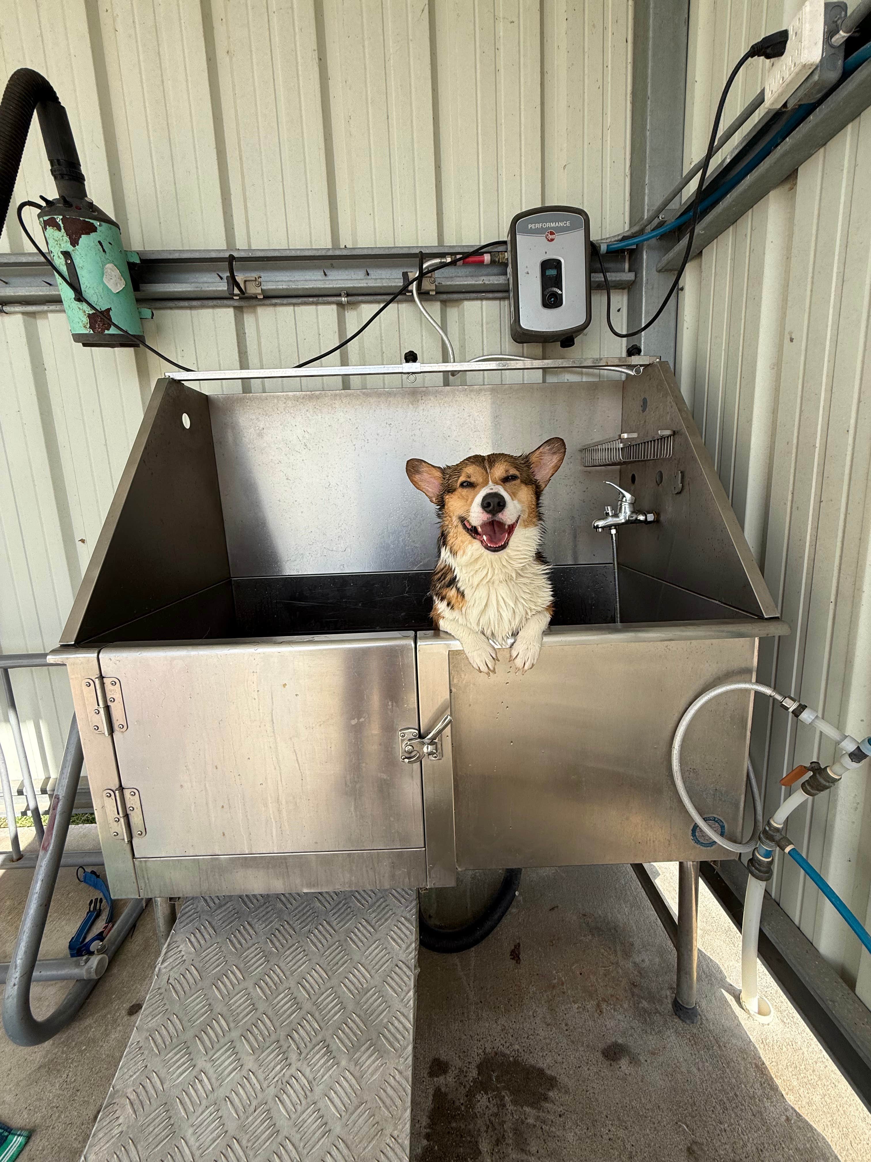 Maggie B.'s photo of camping with pets at Boomtown USA RV Resort near Lumberton, TX