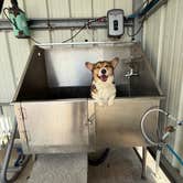 Review photo of Boomtown USA RV Resort by Maggie B., December 30, 2025