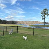 Review photo of Boomtown USA RV Resort by Maggie B., December 30, 2025