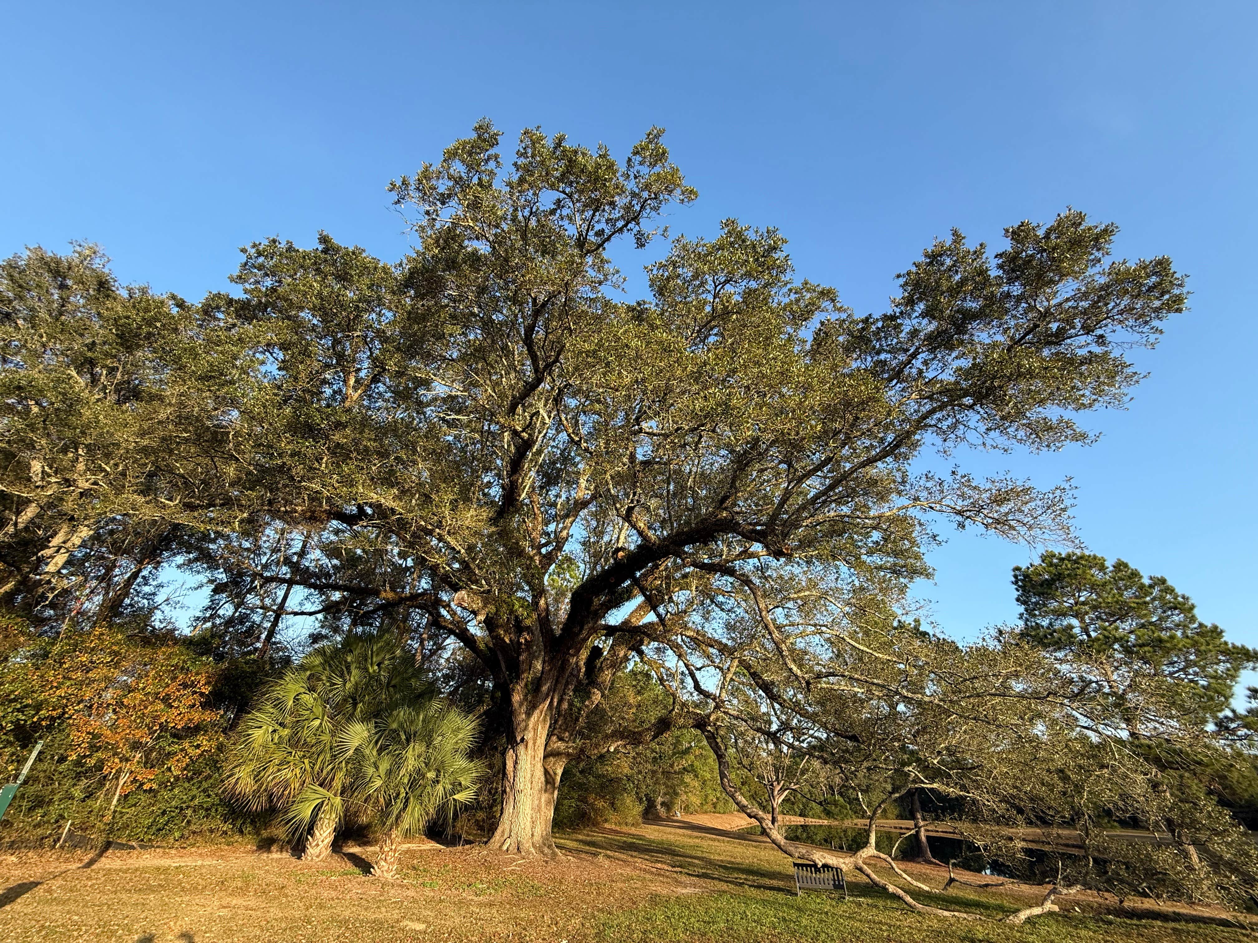 Camper-submitted photo at Pensacola RV Park near Cantonment, FL