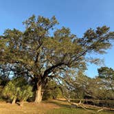 Review photo of Pensacola RV Park by Maggie B., December 30, 2025