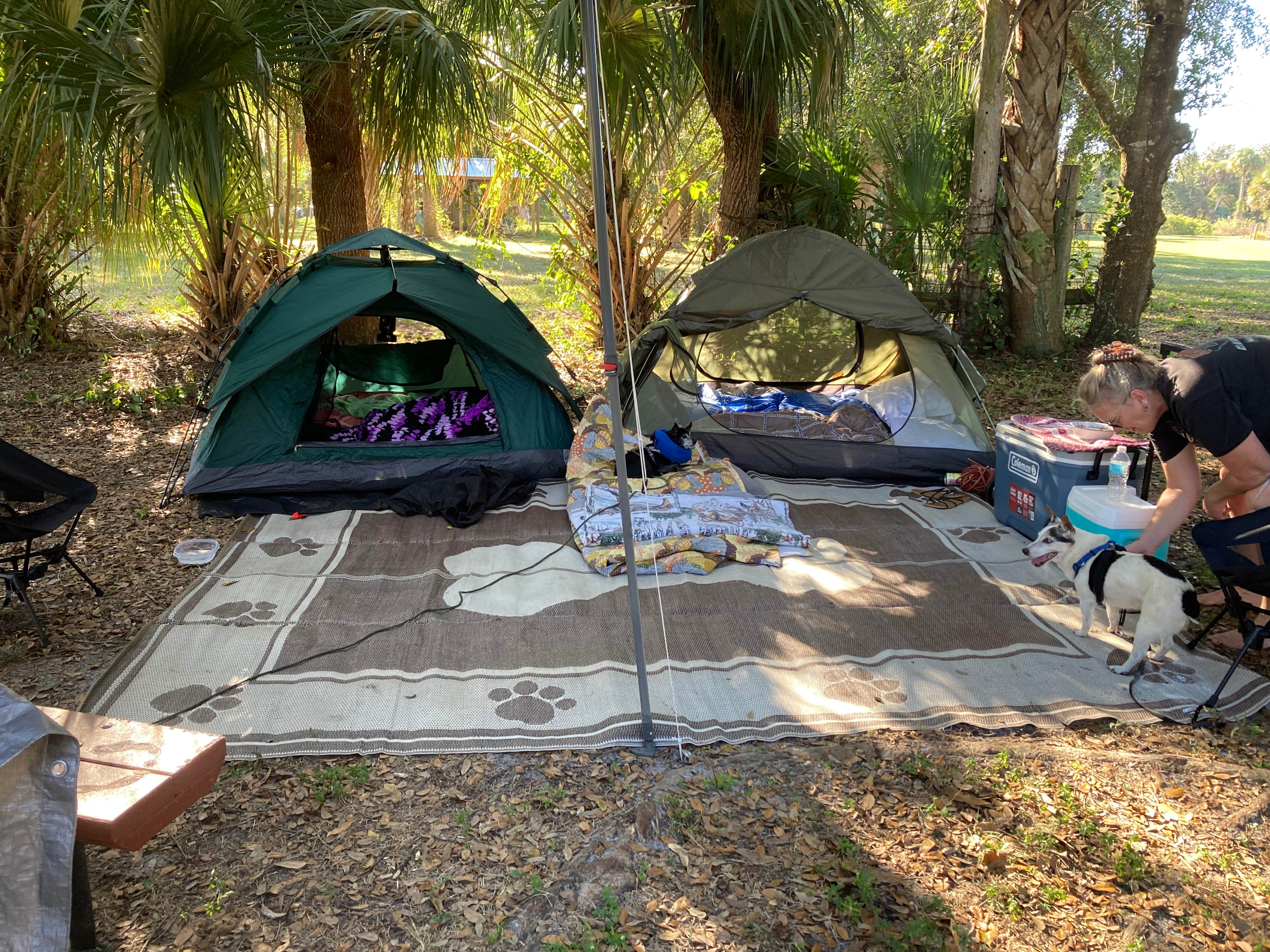 Peaches G.'s photo at DuPuis Campground at Gate 3 near Stuart, FL