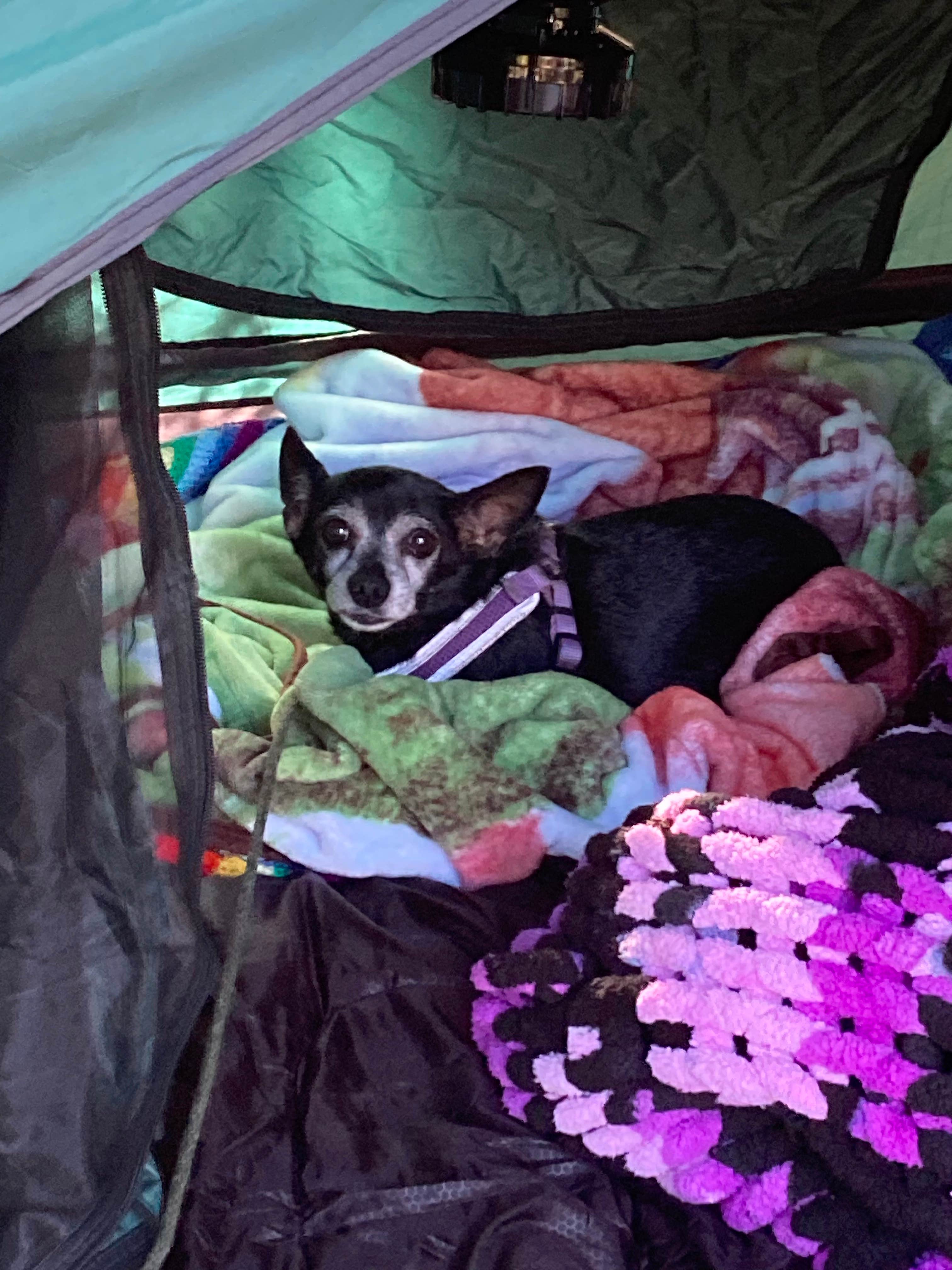 Camper-submitted photo at DuPuis Campground at Gate 3 near Canal Point, FL