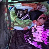 Review photo of DuPuis Campground at Gate 3 by Peaches G., December 31, 2025