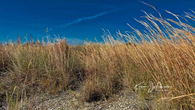 Camper-submitted photo at Carrabelle Beach RV Resort near Woodville, FL
