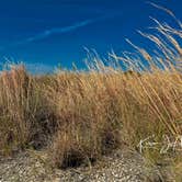Review photo of Carrabelle Beach RV Resort by Kevin A., December 31, 2025