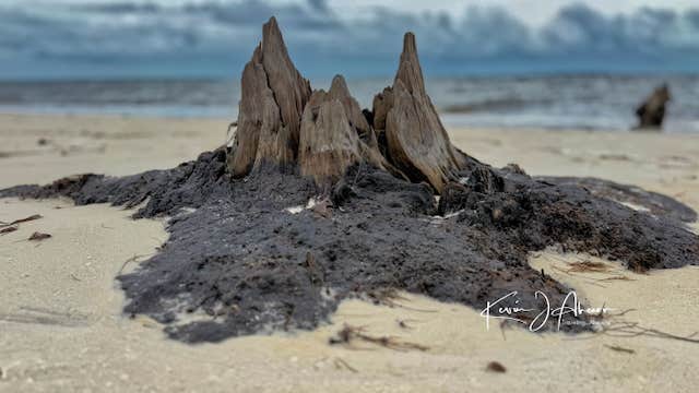 Camper-submitted photo at Carrabelle Beach RV Resort near Woodville, FL