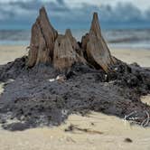 Review photo of Carrabelle Beach RV Resort by Kevin A., December 31, 2025