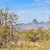 Review photo of Bueno Aires National Wildlife Refuge by Michael  R., December 31, 2025