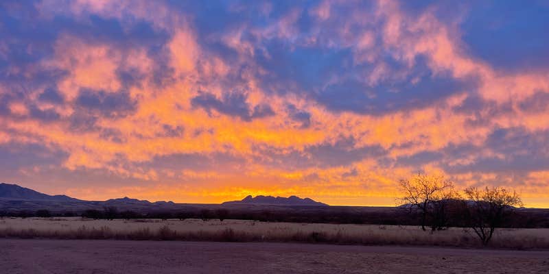 Camper submitted image from Bueno Aires National Wildlife Refuge